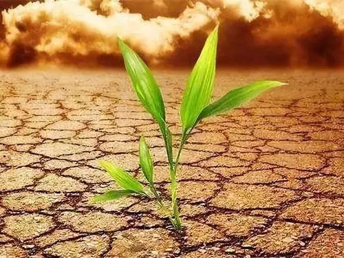 测土配方施肥仪 测土配方施肥仪