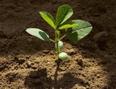 必威betway·精装版测土仪器帮助测定土壤养分