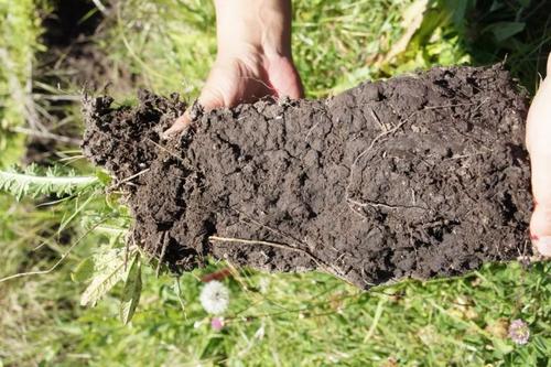 肥料养分检测仪 肥料养分检测仪