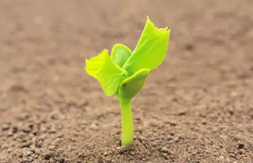 肥料养分检测仪 肥料养分检测仪